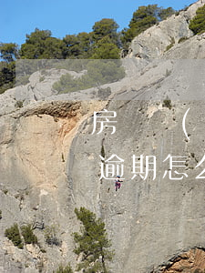 房貸發(fā)生逾期費用怎么辦(房貸部分逾期怎么處理)