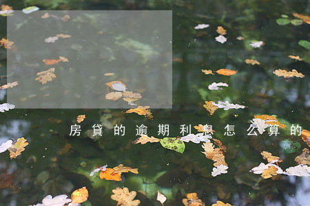 房貸的逾期利息怎么算的