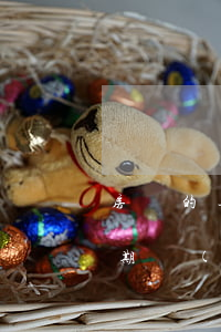 房貸的逾期會(huì)有什么后果(房貸逾期會(huì)有什么后果,要怎么解決)