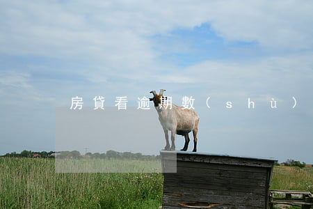 房貸看逾期數(shù)怎樣才算是