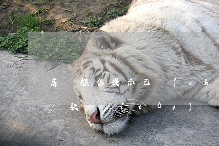 房貸短信提示已產(chǎn)生逾期(房貸貸款狀態(tài)顯示逾期)