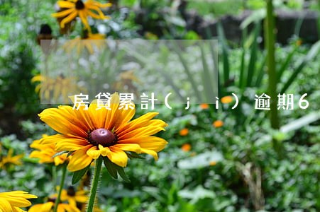 房貸累計(jì)逾期6次（逾期6次房貸）