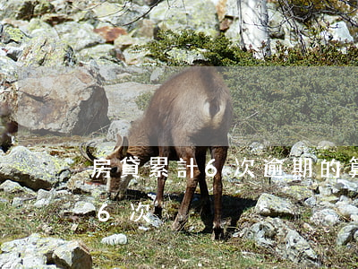 房貸累計6次逾期的算法(房貸逾期累計超過6次)