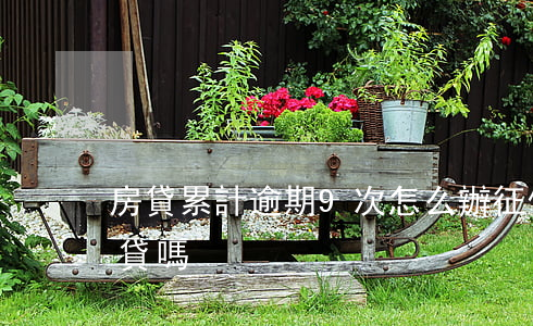 房貸累計逾期9次怎么辦(征信逾期9次能房貸嗎)