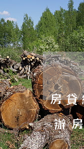 房貸網(wǎng)貸信用卡一起逾期怎么辦（房貸網(wǎng)貸信用卡一起逾期怎么辦）