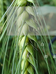 房貸自動扣款逾期兩天(房貸自動扣款失敗當天還算逾期嗎)