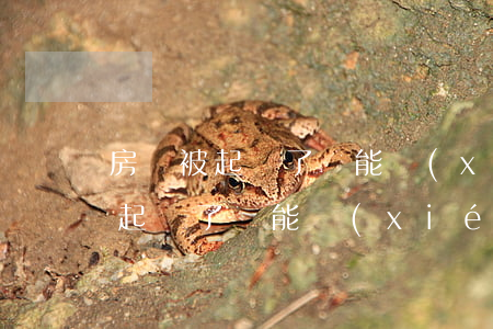 房貸被起訴了還能協(xié)商嗎(房貸被起訴了還能協(xié)商嗎)