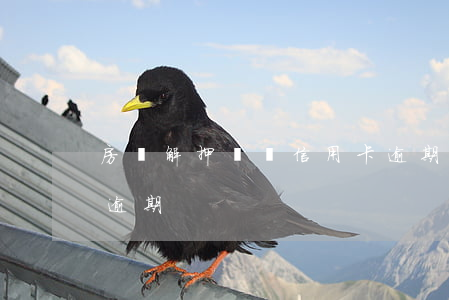 房貸解押讓還信用卡逾期 房貸下來后信用卡逾期