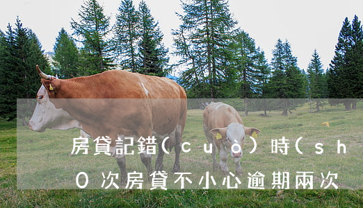 房貸記錯(cuò)時(shí)間逾期40次(房貸不小心逾期兩次)