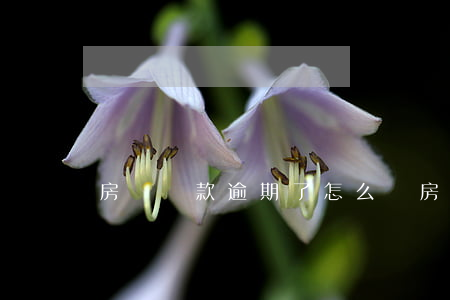 房貸貸款逾期了怎么辦 房屋貸款有逾期怎么辦