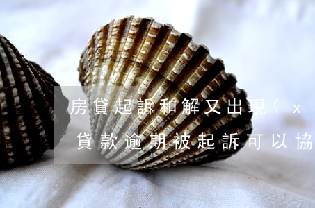 房貸起訴和解又出現(xiàn)逾期(房屋貸款逾期被起訴可以協(xié)商解決嗎)