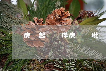 房貸起訴條件(房貸審批條件)