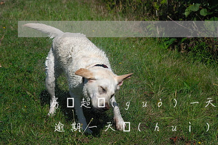 房貸超過(guò)一天都算逾期嗎(房貸款逾期一天會(huì)怎么樣)
