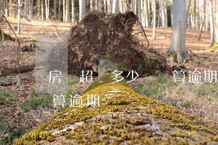 房貸超過多少時間算逾期(房貸超過多長時間算逾期)