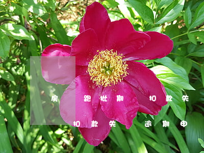 房貸跑批期間扣款失敗逾期申訴(房貸跑批期間扣款失敗逾期申訴)