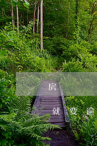 房貸車貸逾期一天上征信嗎（房貸車貸信用卡就要逾期了）