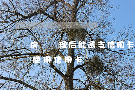 房貸辦理后能透支信用卡嗎(辦理房貸中可以使用信用卡嗎)