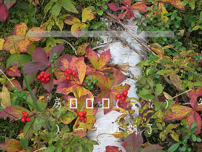 房貸連續(xù)一年逾期 房貸連續(xù)一年逾期了