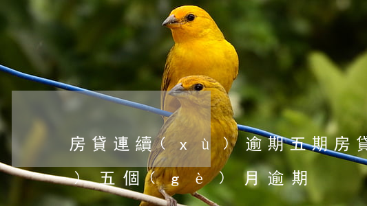 房貸連續(xù)逾期五期(房貸連續(xù)五個(gè)月逾期)