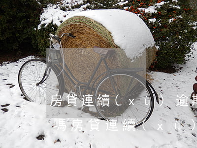 房貸連續(xù)逾期兩期嚴(yán)重嗎(房貸連續(xù)3個(gè)月逾期)