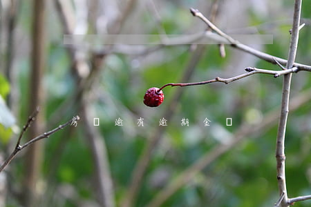 房貸逾有逾期金額