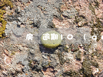 房貸逾期10個(gè)月收到法院傳票