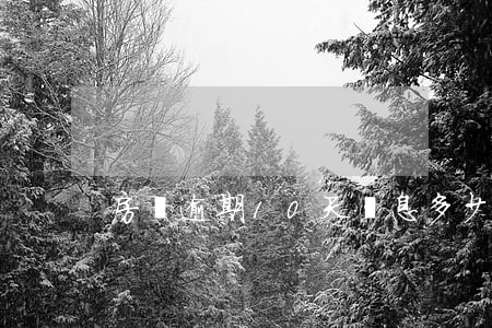 房貸逾期10天罰息多少(房貸逾期一天罰息)