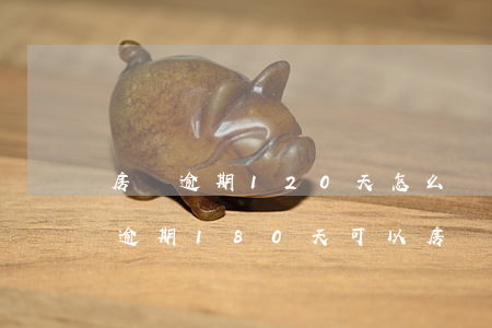 房貸逾期120天怎么辦(網(wǎng)貸逾期180天可以房貸嗎)