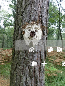 房貸逾期17天會(huì)怎么樣(房貸逾期十幾天嚴(yán)重嗎)