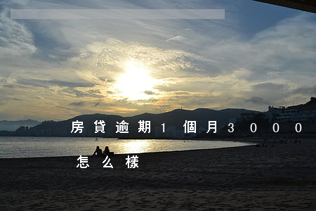 房貸逾期1個月3000(房貸逾期一個月會怎么樣)