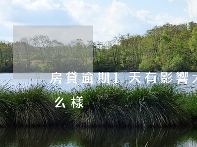 房貸逾期1天有影響大嗎(房貸逾期一周會怎么樣)