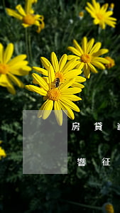 房貸逾期1期影響征信嗎(房貸逾期一天會影響征信嗎)