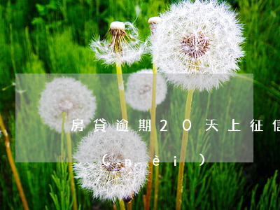 房貸逾期20天上征信不(征信逾期30天以內(nèi))