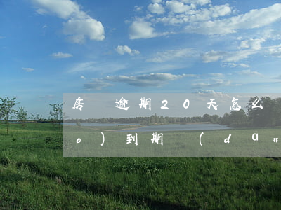 房貸逾期20天怎么處理(房貸20號(hào)到期當(dāng)天還逾期嗎)