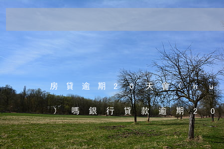 房貸逾期20天會(huì)上門(mén)嗎(銀行貸款逾期20天嚴(yán)重嗎)