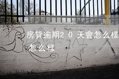 房貸逾期20天會怎么樣(房貸逾期10天會怎么樣)