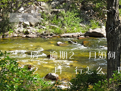 房貸逾期2個月如何補(bǔ)繳(房貸逾期2個月銀行怎么處理)