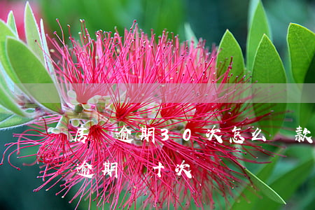 房貸逾期30次怎么貸款(房貸累計(jì)逾期幾十次)