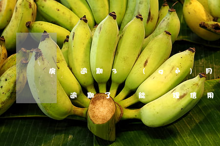 房貸逾期3個(gè)月可以辦信用卡嗎(房貸逾期了還能辦理信用卡嗎)