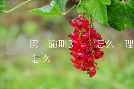 房貸逾期3塊錢怎么處理(信用卡逾期三塊錢怎么辦)
