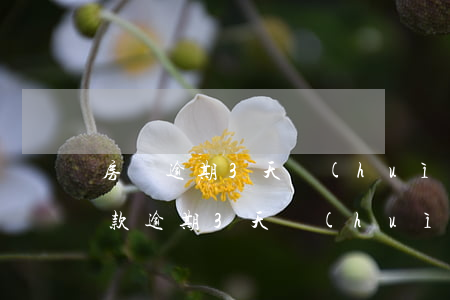 房貸逾期3天會(huì)上征信嗎(銀行貸款逾期3天會(huì)上征信嗎)