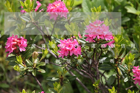 房貸逾期3天還能辦信用卡嗎 房貸逾期3天還能辦信用卡嗎嗎