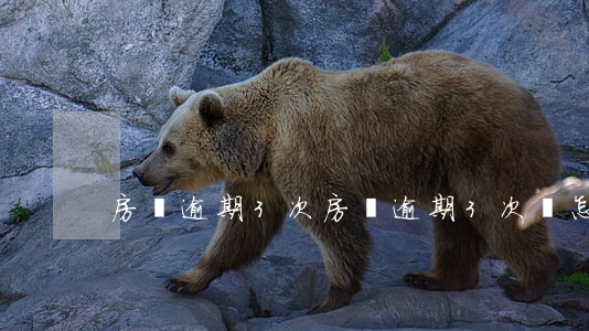 房貸逾期3次(房貸逾期3次會怎樣)