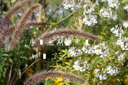 房貸逾期3次沒(méi)還(房貸逾期六次都還了)