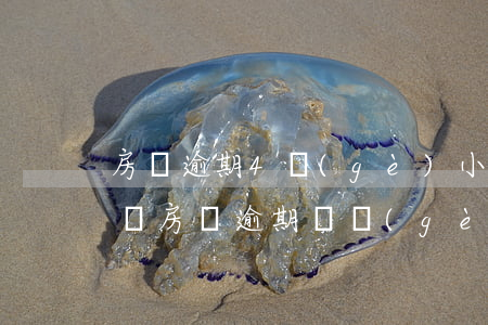 房貸逾期4個(gè)小時(shí)怎么辦(房貸逾期幾個(gè)小時(shí))