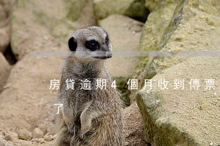 房貸逾期4個月收到傳票(房貸逾期收到傳票了)