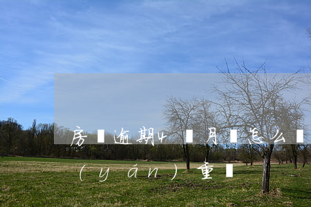 房貸逾期4個月會怎么樣(房貸逾期4天算嚴(yán)重嗎)