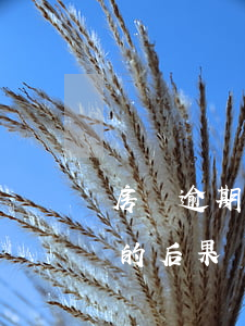 房貸逾期4天是什么后果(房貸逾期還款5天的后果)