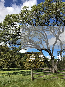 房貸逾期4期罰款(逾期四次影響房貸嗎)