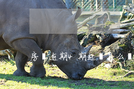 房貸逾期4期起訴怎么辦